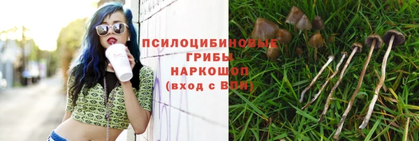 гашиш Абинск