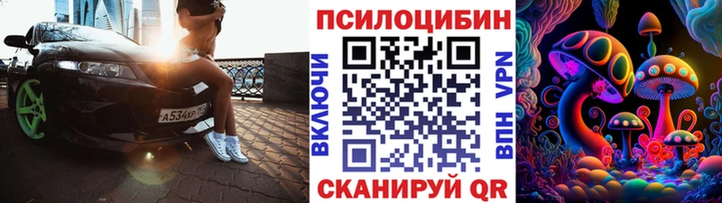 Псилоцибиновые грибы GOLDEN TEACHER  сколько стоит  Починок 